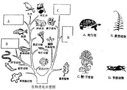 360优课网