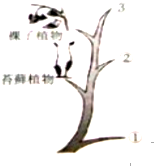 360优课网