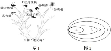 360优课网
