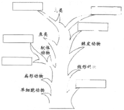 360优课网