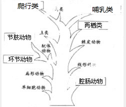 360优课网
