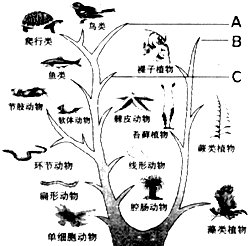 360优课网