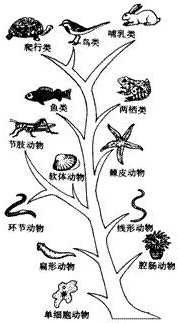 360优课网