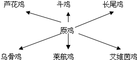 360优课网