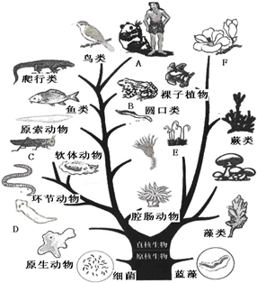 360优课网