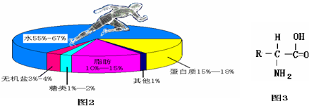 360优课网