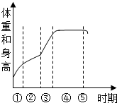 360优课网