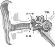 360优课网