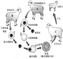 360优课网