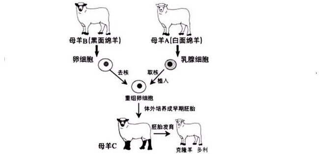 360优课网