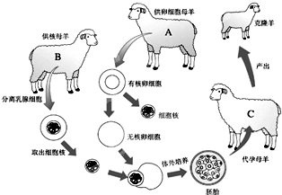 360优课网