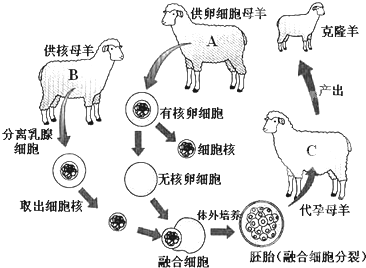 360优课网