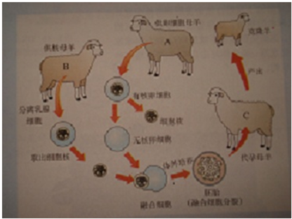 360优课网