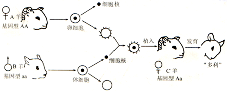 360优课网