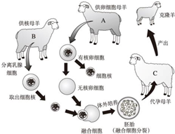 360优课网