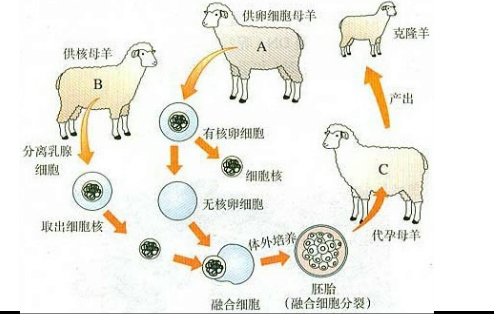 360优课网
