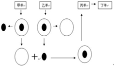 360优课网