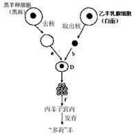 360优课网