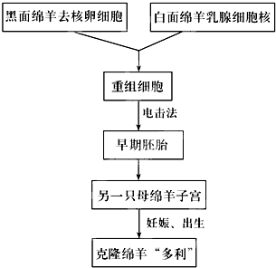 360优课网