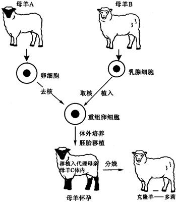 360优课网