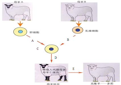 360优课网