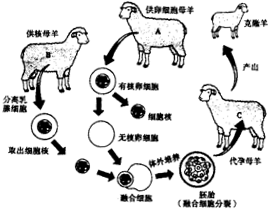 360优课网