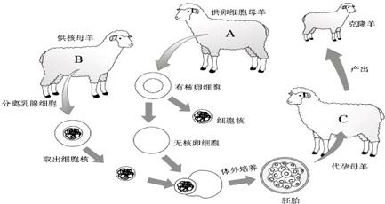 360优课网