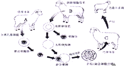 360优课网