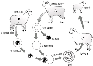 360优课网