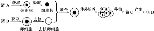 360优课网