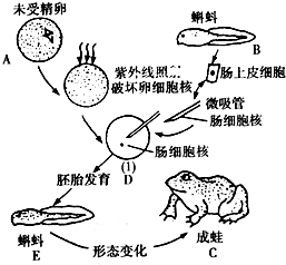 360优课网