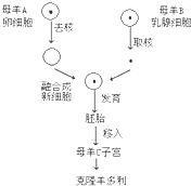 360优课网