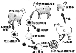 360优课网