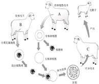 360优课网