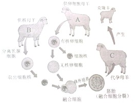 360优课网