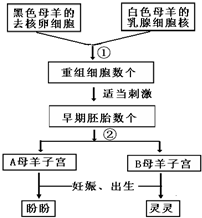 360优课网