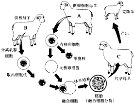 360优课网