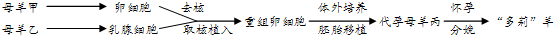 360优课网