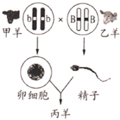 360优课网