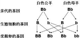 360优课网