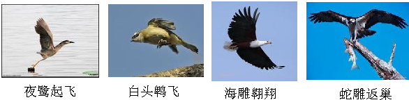 360优课网