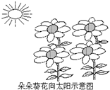 360优课网