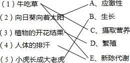 360优课网