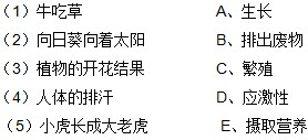 360优课网