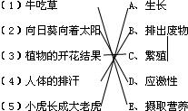 360优课网
