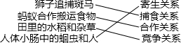 360优课网