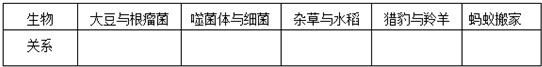 360优课网