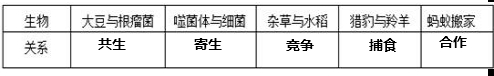 360优课网