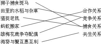 360优课网