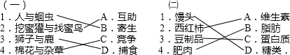 360优课网
